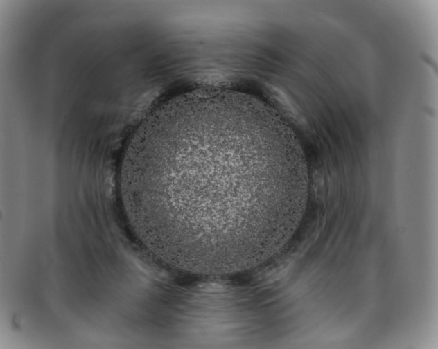 X0000097790259200803141836