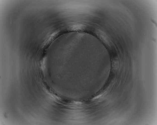 X0000097790260200803141836