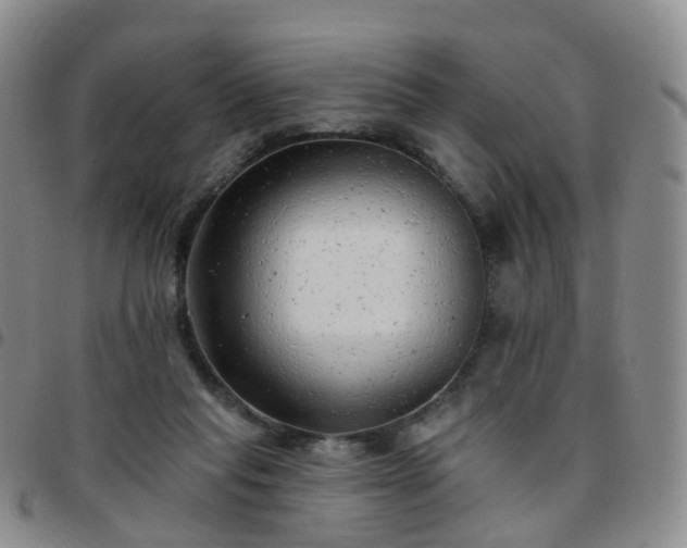 X0000097790261200803141836