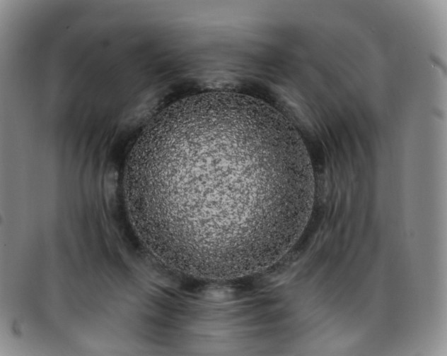 X0000097790263200803141836