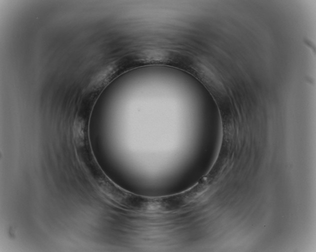 X0000097790264200803141836