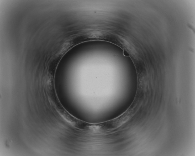 X0000097790265200803141836