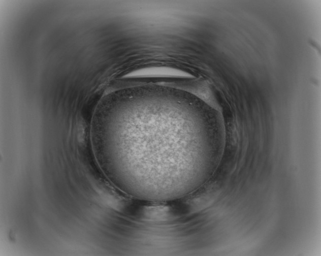 X0000097790266200803141836