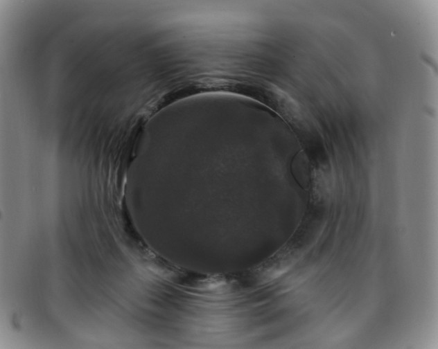 X0000097790267200803141836