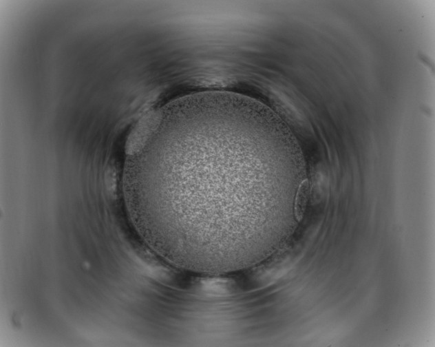 X0000097790268200803141836