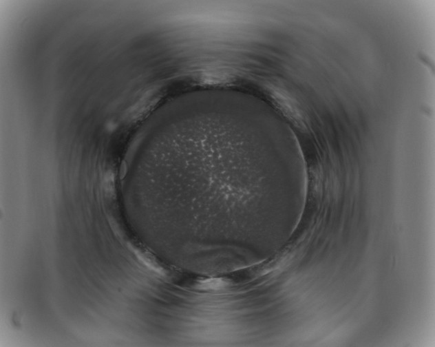 X0000097790269200803141836
