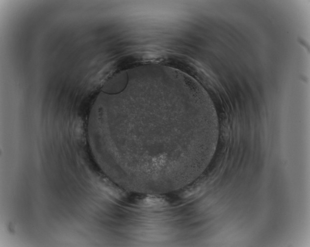 X0000097790270200803141836