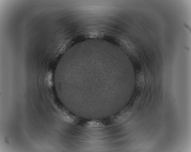 X0000097790272200803141836