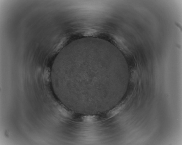 X0000097790273200803141836