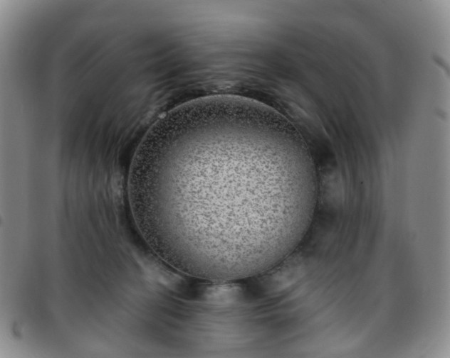 X0000097790274200803141836