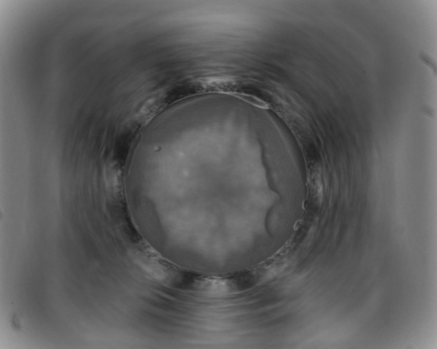 X0000097790276200803141836