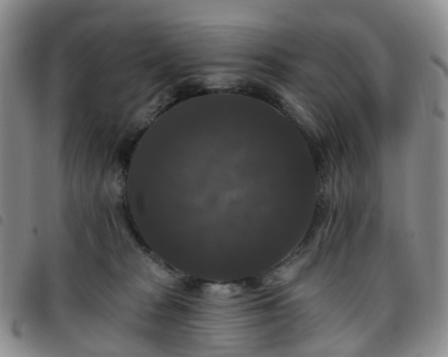 X0000097790277200803141836