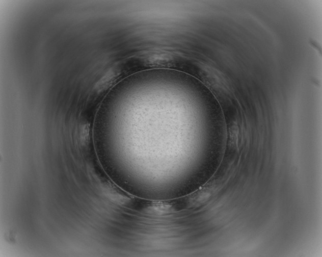 X0000097790278200803141836