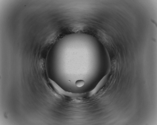 X0000097790280200803141836