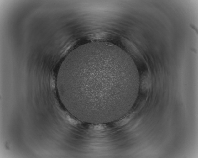 X0000097790282200803141836