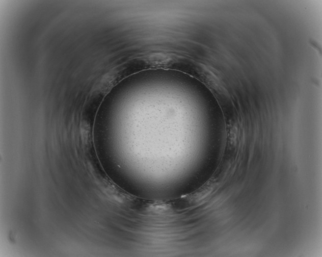 X0000097790283200803141836