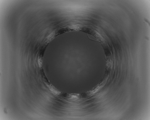 X0000097790285200803141836