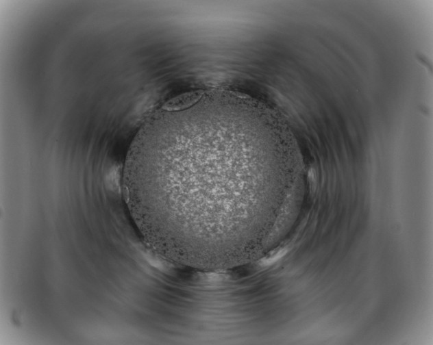 X0000097790286200803141836