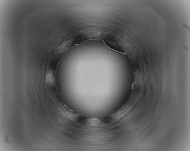 X0000097790287200803141836