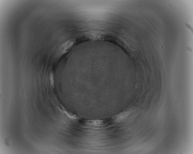 X0000097790288200803141836