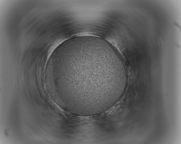 X0000097790289200803141835
