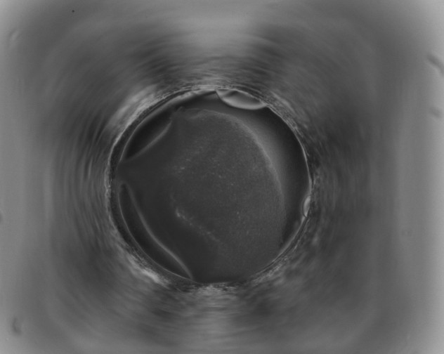X0000097790290200803141835