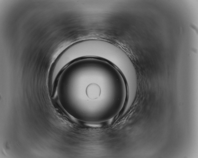 X0000097790292200803141835