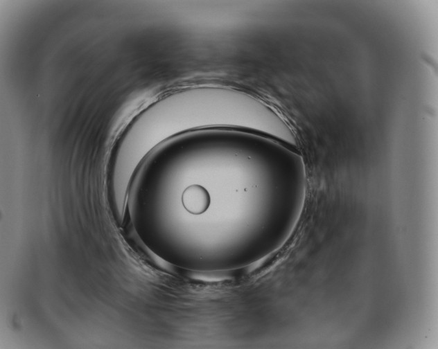 X0000097790293200803141835