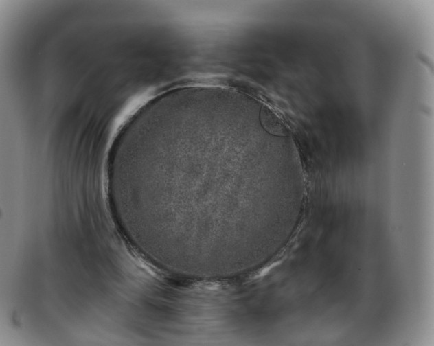 X0000097790294200803141835
