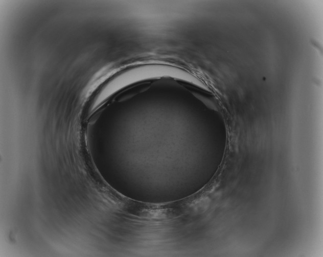 X0000097790295200803141835