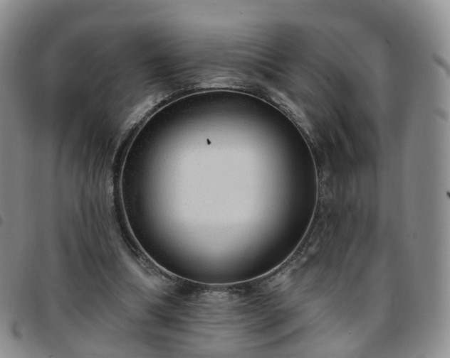 X0000097790298200803141835