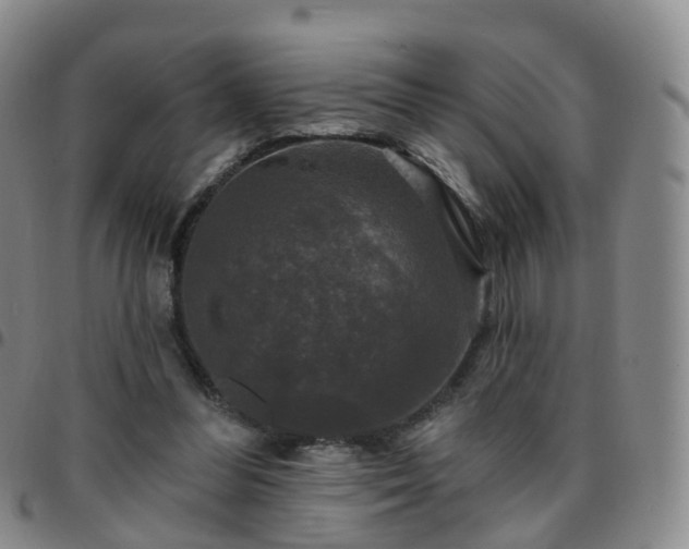 X0000097790300200803141835