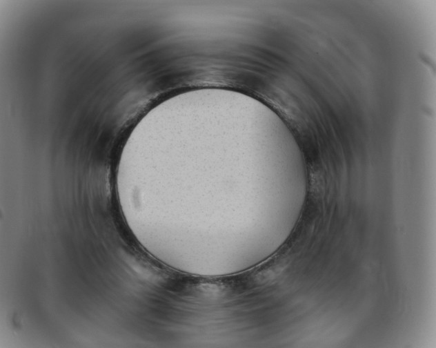 X0000097790302200803141835