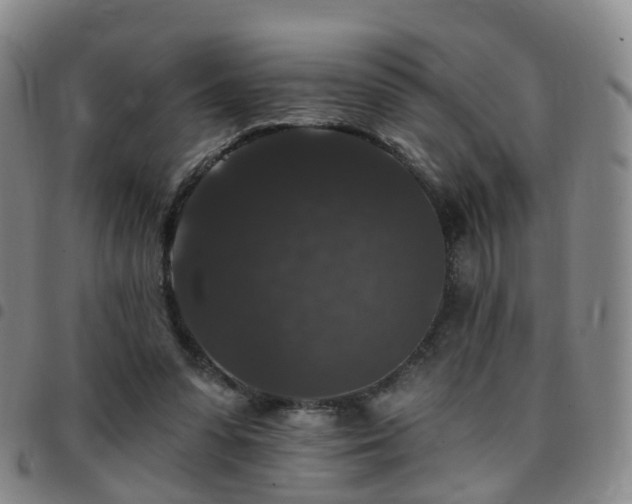 X0000097790303200803141835