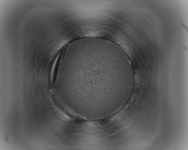 X0000097790305200803141835