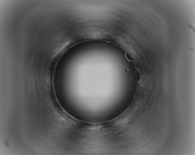 X0000097790306200803141835