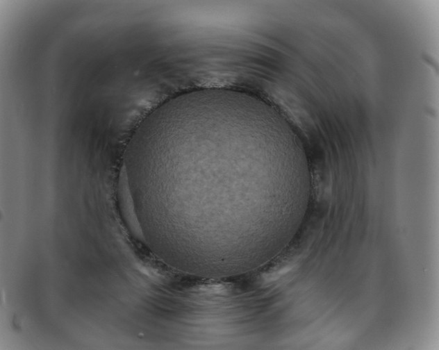 X0000097790307200803141835