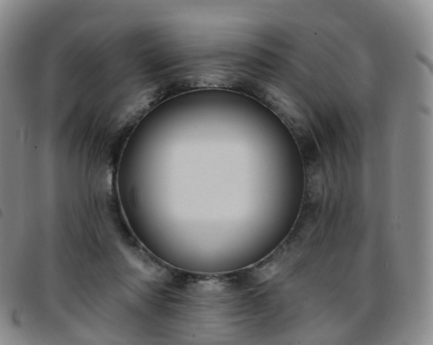 X0000097790310200803141835