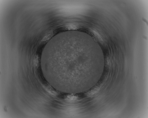 X0000097790311200803141835