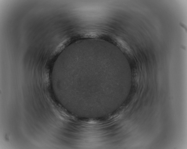 X0000097790312200803141835