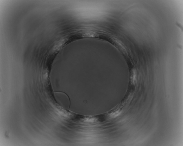 X0000097790314200803141835