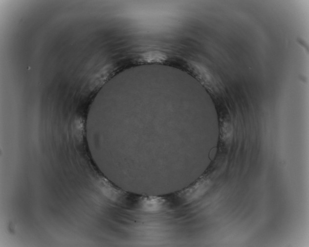 X0000097790321200803141835