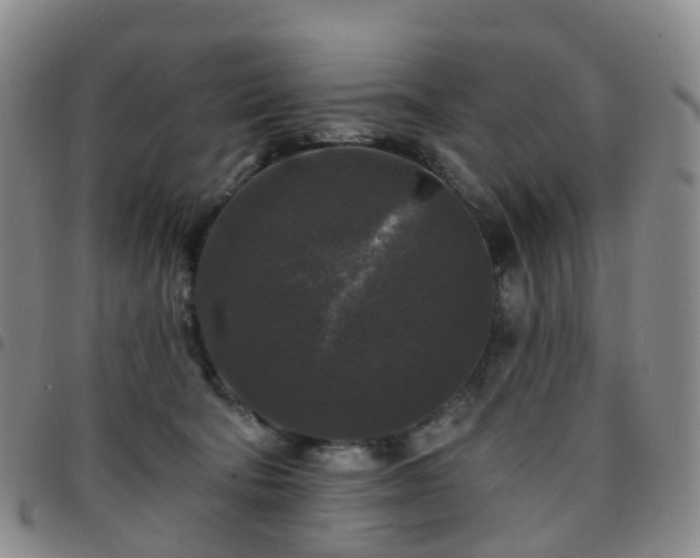 X0000097790322200803141835