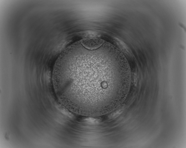 X0000097790326200803141835