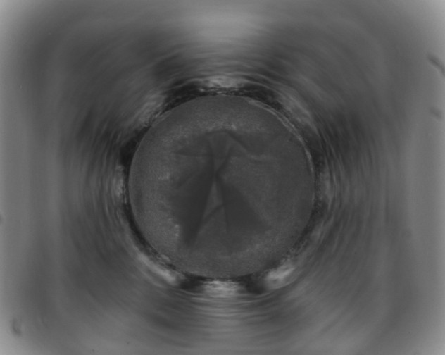 X0000097790328200803141835