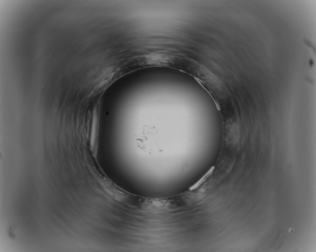 X0000097790329200803141835