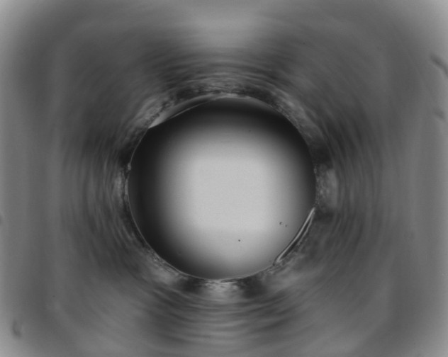 X0000097790333200803141835