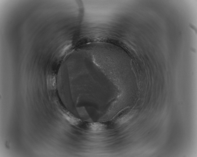 X0000097790336200803141835