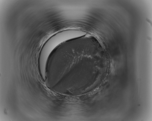 X0000097790337200803141834