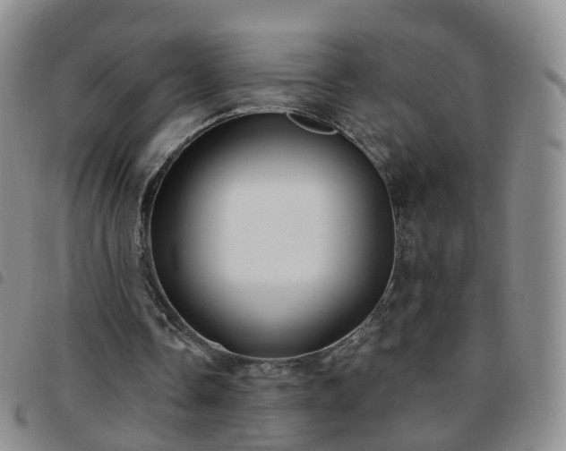 X0000097790338200803141834